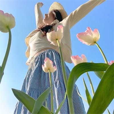 志愿军：浴血和平
